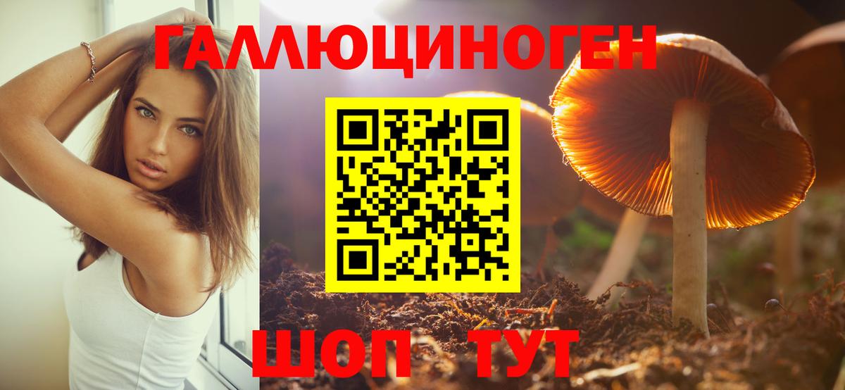 Галлюциногенные грибы Cubensis Камышлов